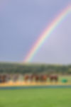 321A3532.jpg