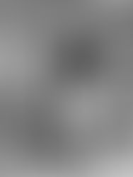 Our students are our future; An investment in them is an investment in our values