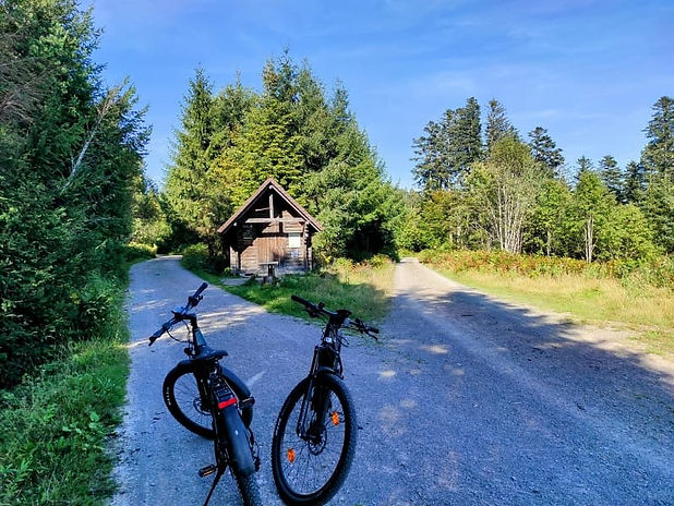Zwei Fahrräder auf einem Waldweg vor einer Holzhütte.