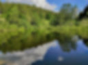 Waldsee bei dem LaVital Hotel Südheide mit Spiegelung