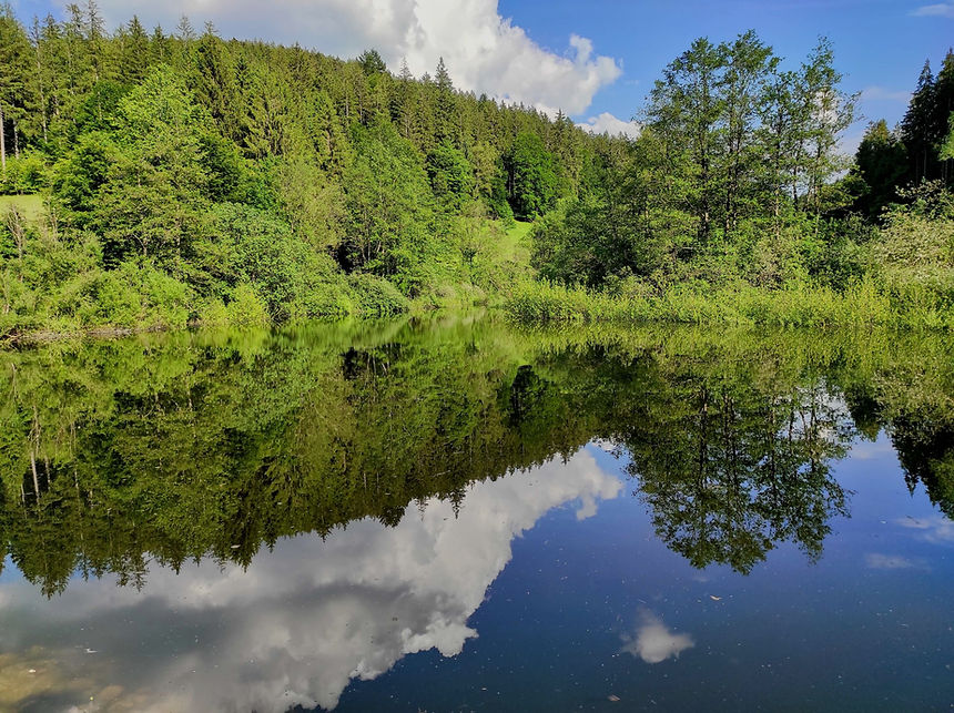 Waldsee bei dem LaVital Hotel Südheide mit Spiegelung