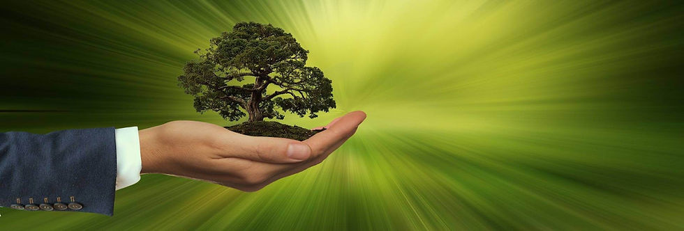 Hand hält Baum, grüne Umgebung, Symbol für Nachhaltigkeit im Ökotourismus