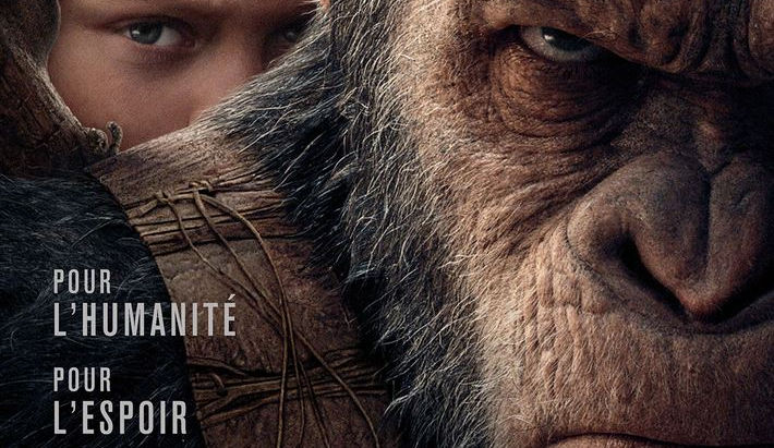 La planète des singes, suprématie