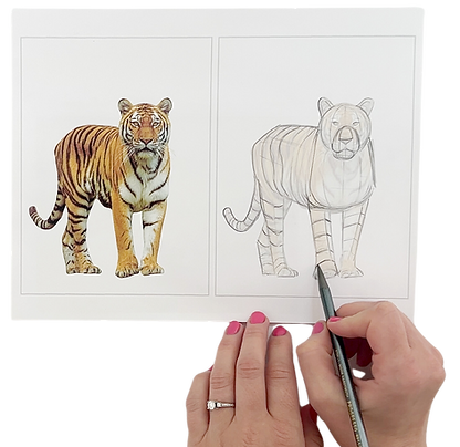 how-to-draw-.png