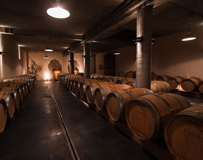 20210825_Chateau_Beaulieu_Samonac-041 (2) Large.jpeg