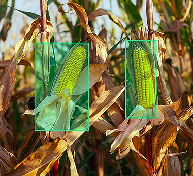 Agri.png
