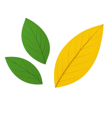 Assorted green and yellow leafs representing wellness