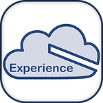 Experience Cloud Service Logo