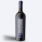 Summus Malbec 2025