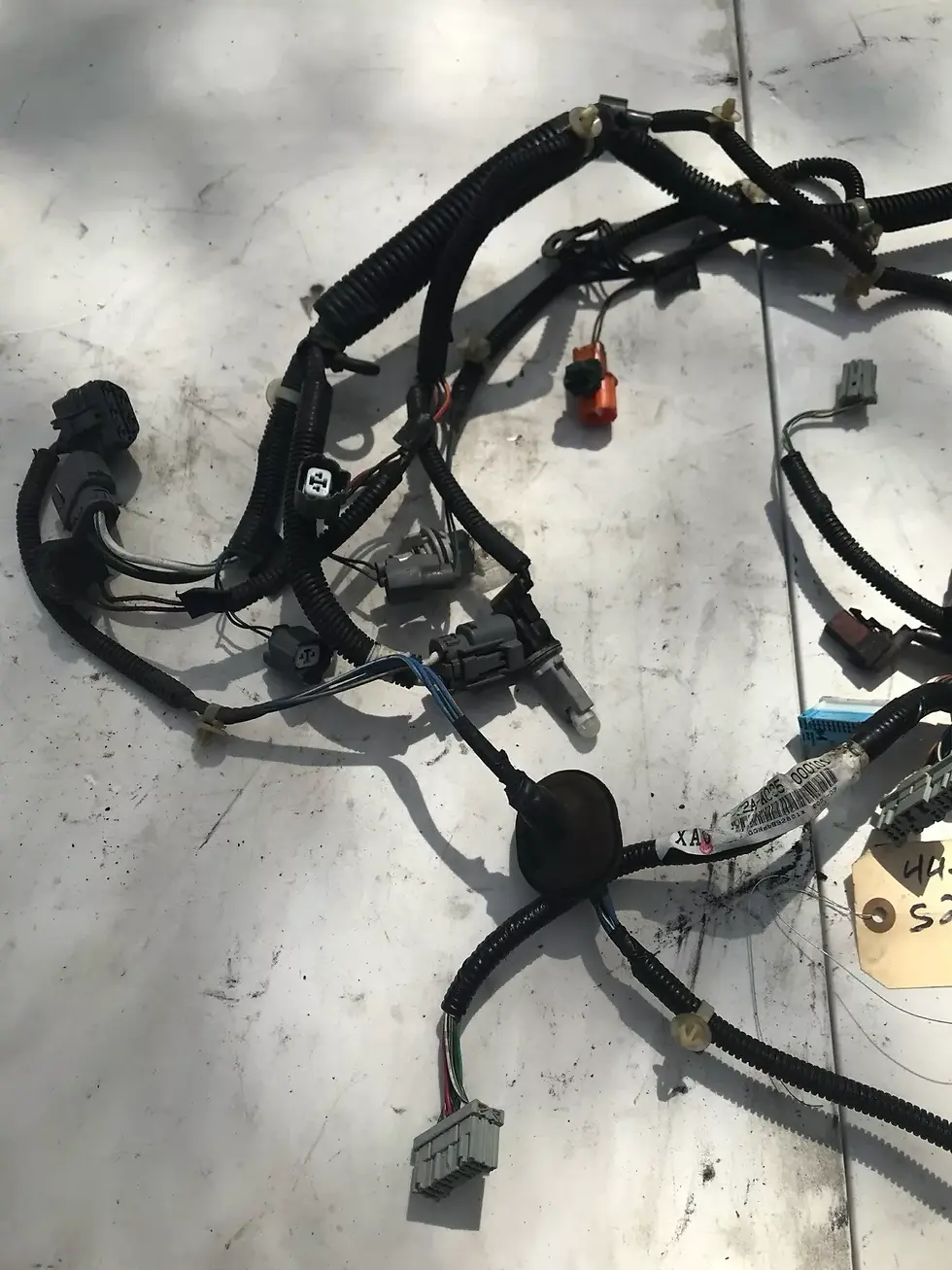 Thumbnail: 2001 Honda S2000 Engine Bay Driver Side Harness