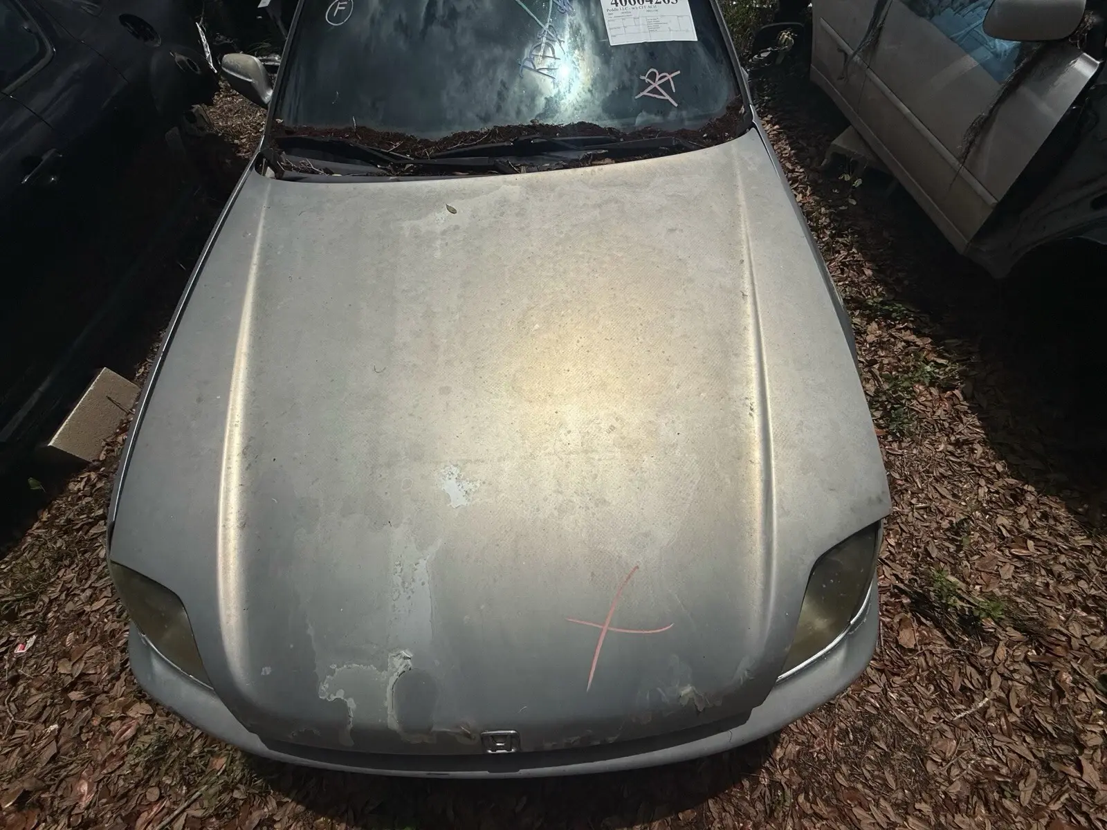 2001 Honda Prelude Hood