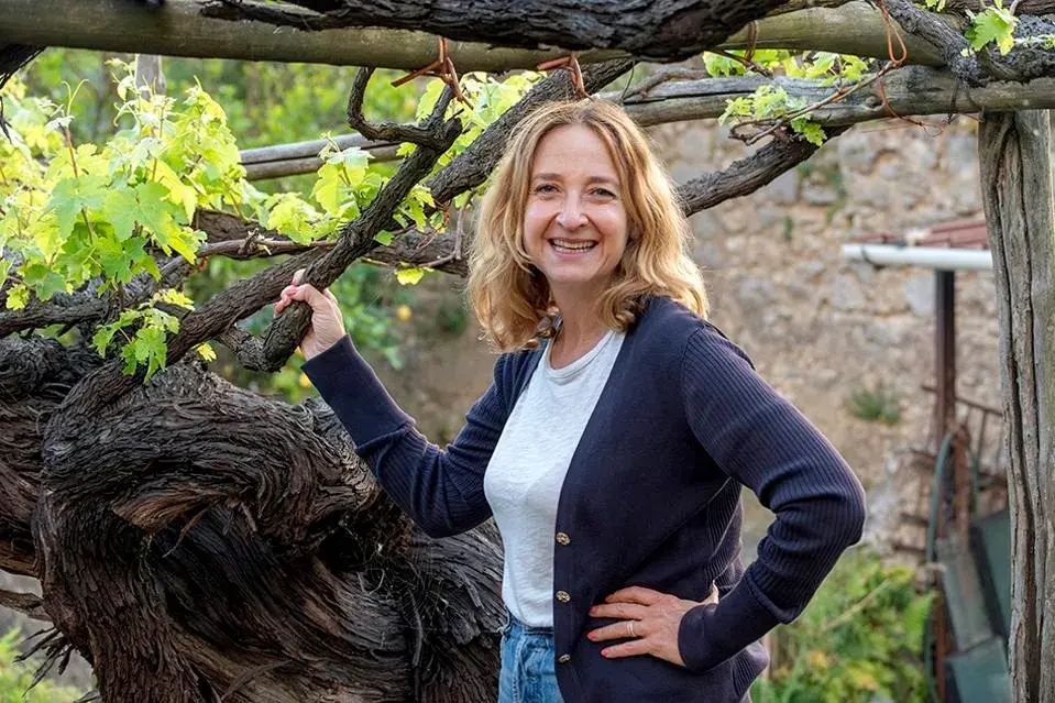 sarah irpinia old vines
