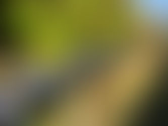 The Authentic Irpinia Wine Club Vol. 6 Tasting Notes