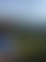 tufo greco vineyards cantine dell'angelo