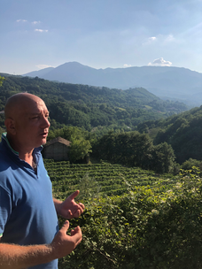 tufo greco vineyards cantine dell'angelo