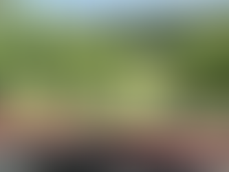 The Authentic Irpinia Wine Club Vol. 8 Tasting Notes