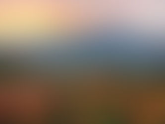 Tasting Notes: Let's Talk Taurasi