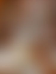 winemaker tasting lunch