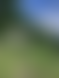 mines in the vineyards in irpinia