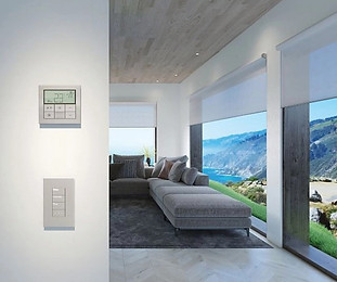 33. Lutron Pic 1.jpg