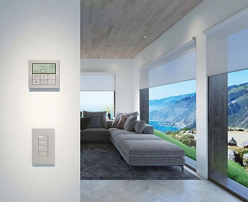 Lutron Palladium Keypads and shades