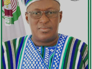 ECOWAS SPEAKER URGES MEMBER STATES TO ADDRESS ILLEGAL MINING