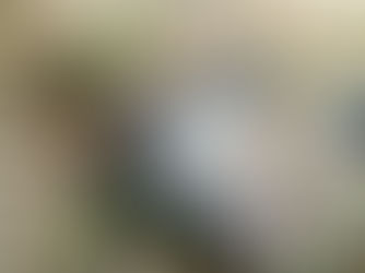 JUNGLE JUSTICE AS HUNTER KILLS HUNTER IN KONO