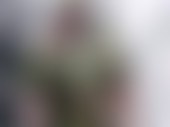 COMMANDER-IN-CHIEF IS IN CHARGE