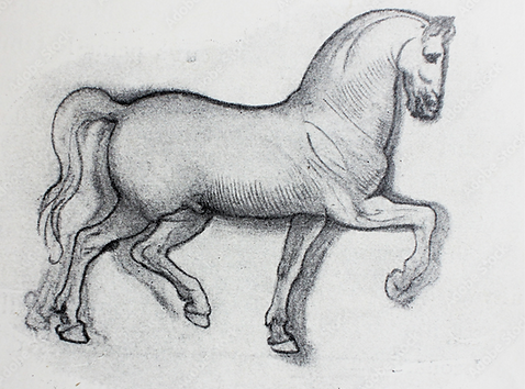 Da Vinci Horse Pencil Drawing