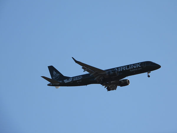 plane.JPG