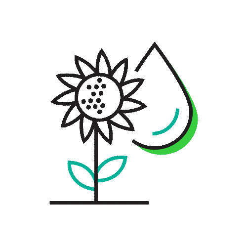 Sunflower-Oil_Black.gif