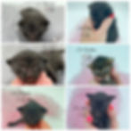 Mima Babies