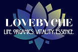 logo.jpg