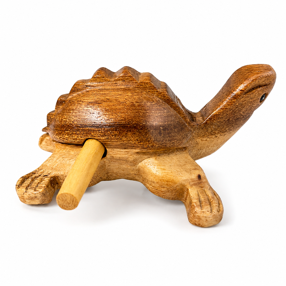 Thumbnail: 5" Turtle