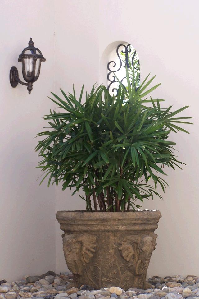 JXC Landscaping Pots / Fountains