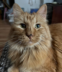 2023-09-04 17.13.47.jpg