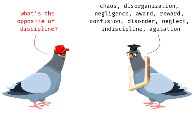 discipline.png