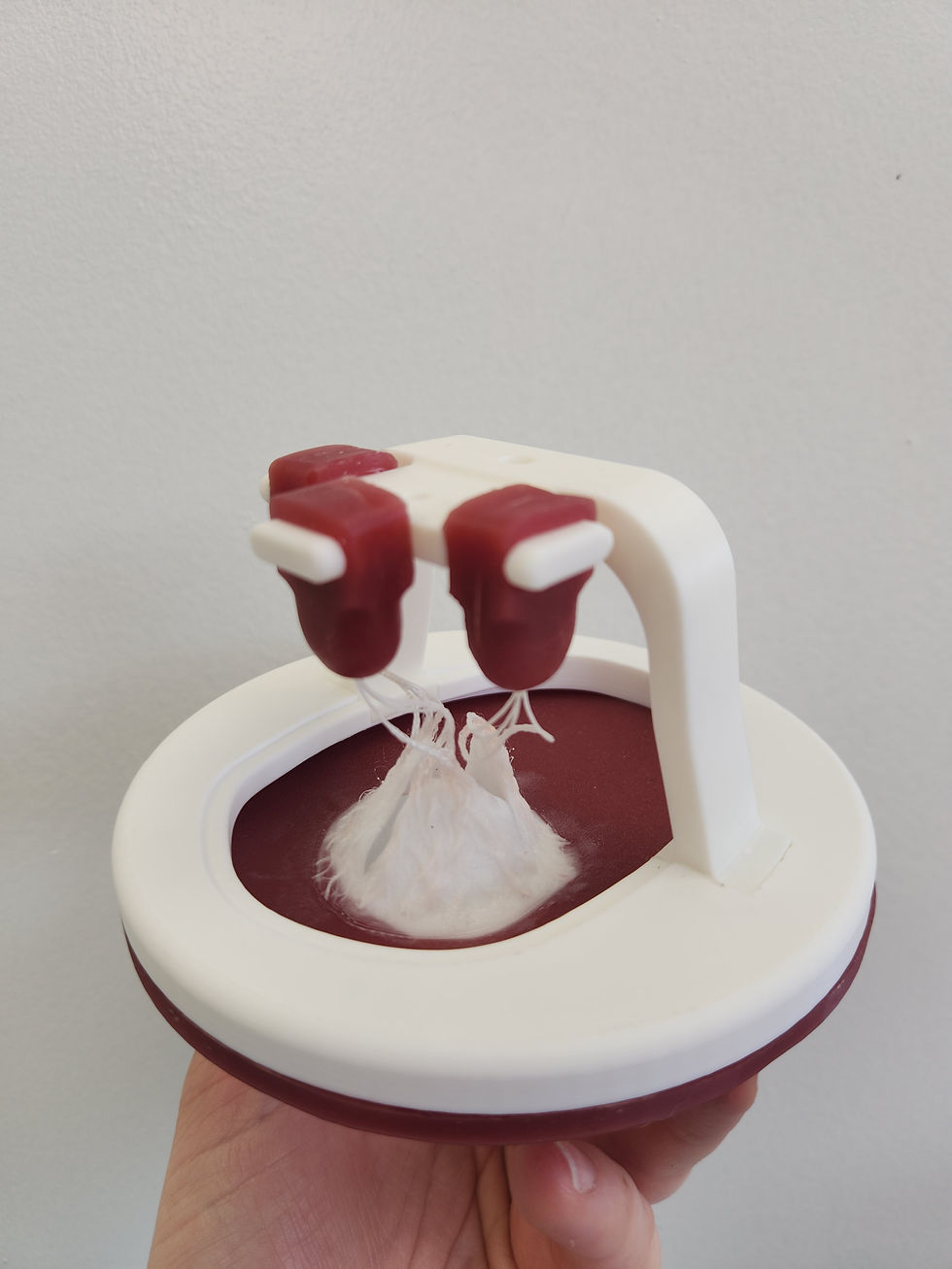 Thumbnail: CarmoSIM™ ADVANCED Tricuspid Valve 