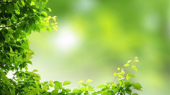 Pics for Website (1).jpg