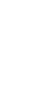 vector 4.png