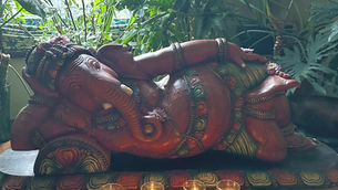 The Best Place to Find Your Zen in Saratoga Springs...Yoga Mandali