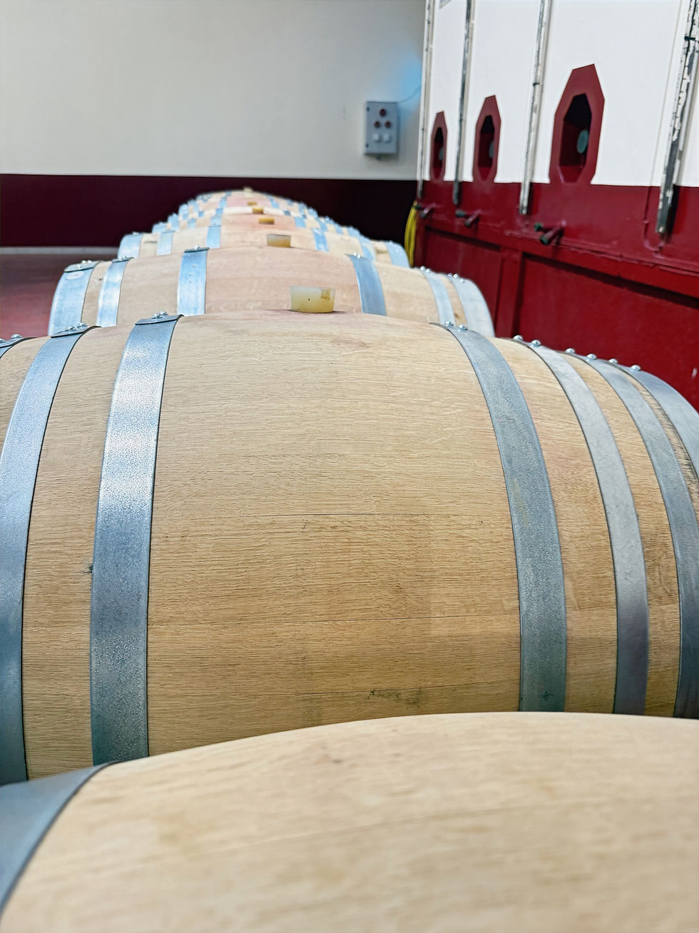 Wine Barrels at Chateauneuf du Pape