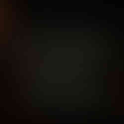 Frida Kahlo Exhibition