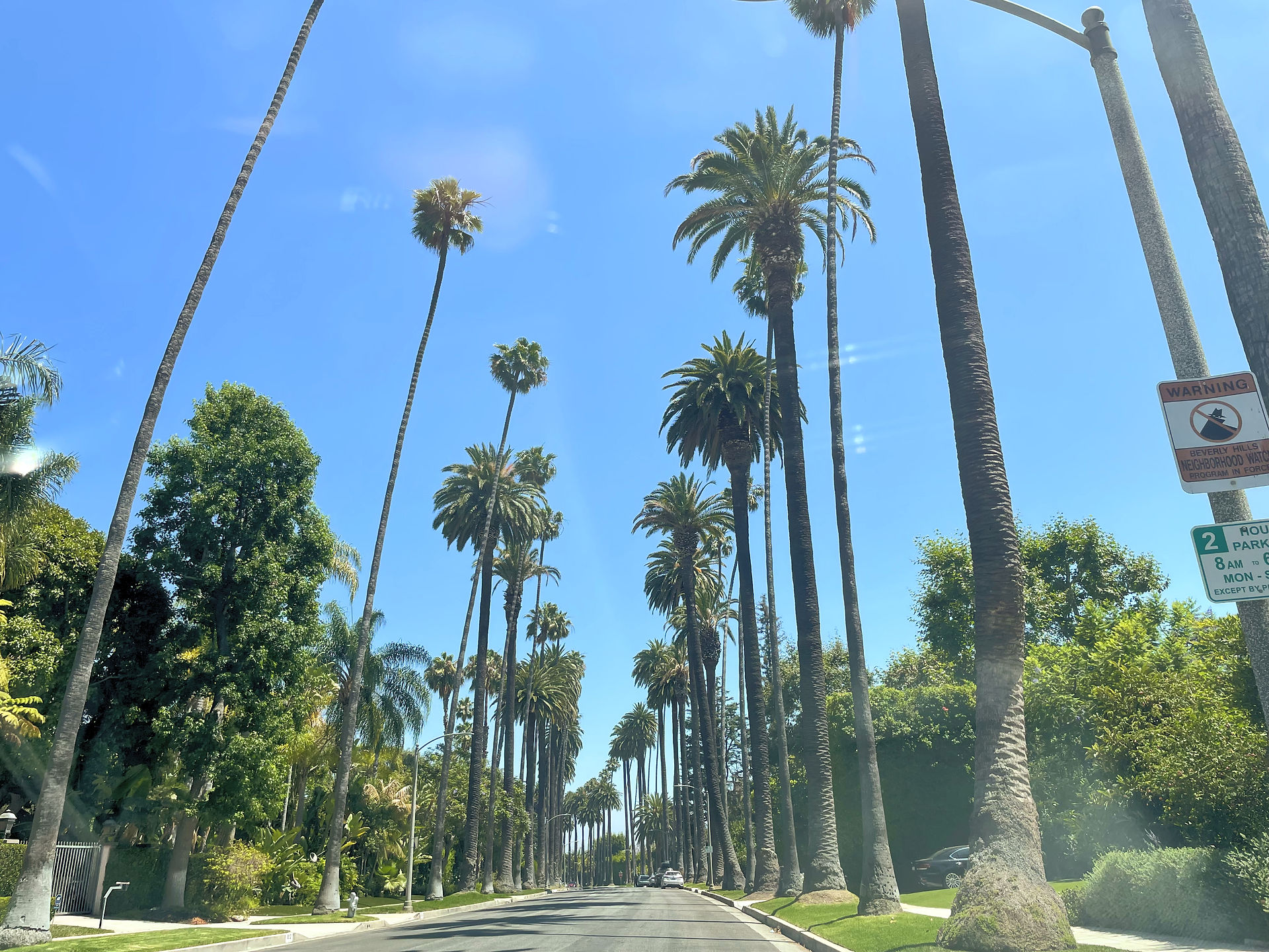 Street in Beverly Hills