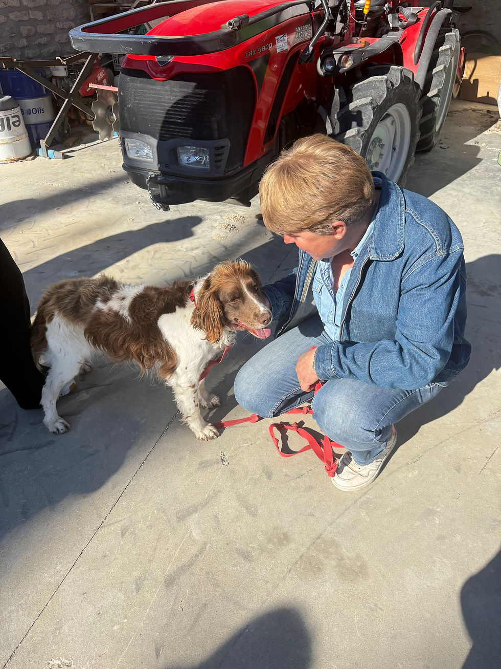 Sunshine, Dogs and Truffles: How to Spend a Perfect Afternoon in Provence!