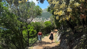 Hiking Trails on Lokrum Island Croatia
