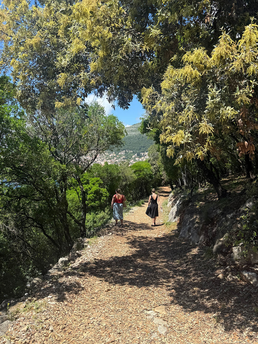 Hiking Trails on Lokrum Island Croatia