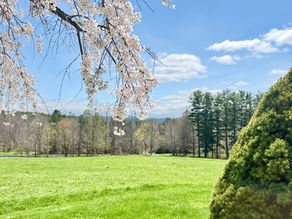 Beautiful Grounds at Kripalu