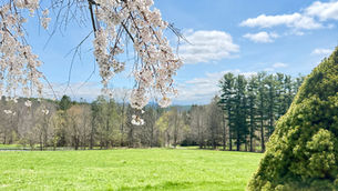 Beautiful Grounds at Kripalu