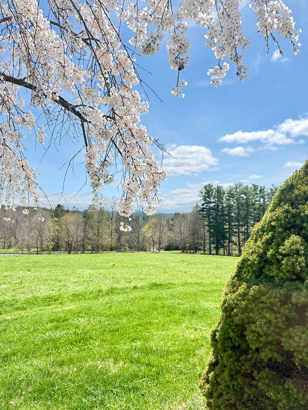 Beautiful Grounds at Kripalu